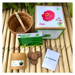 Sow and Grow DIY Gardening Kit - Zinnia-image-7