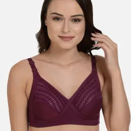 Mod & Shy Purple Non Wired Non Padded Everyday Bra-picture-43