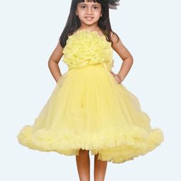 Modish Girls Gathered or Pleated Net Fit & Flare Dress-24