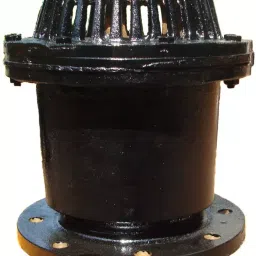 V V 50 mm Cast Iron Foot Valve Flanged Ends V V-1024-image-64