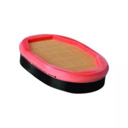 Donaldson 2 Inch Safety Air Filter P785965-picture-43