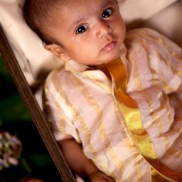 MIRALI Geeth Infant shirt With Chinese Collar With Golden Kasavu Mundu And Shoes.-image-77