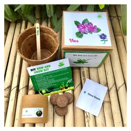 sow & grow Sow and Grow DIY Gardening Kit - Vinca-picture-43