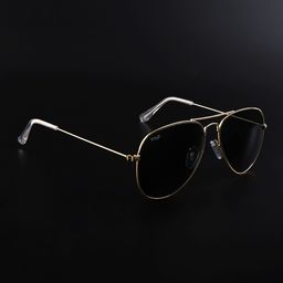 Irayz Unisex Black Lens & Gold-Toned Aviator Sunglasses with-15