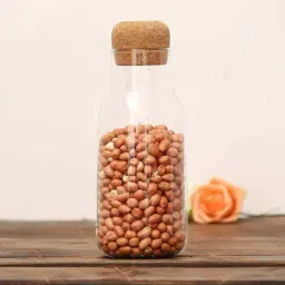 Femora Transparent Borosilicate Glass Container with Cork Lid (500 ml) - Set of 1-1