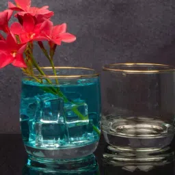 Goodhomes Glass Tumbler with Gold Line(Set of 6 Pcs.)-image-80
