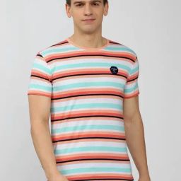 Peter England Multicolored Slim Fit Striped T-Shirt-image-35