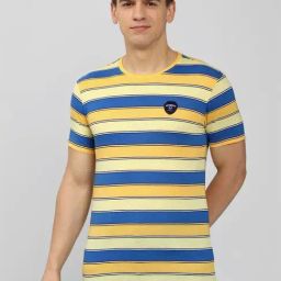 Peter England Multicolored Slim Fit Striped T-Shirt-image-40