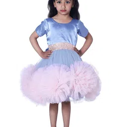 Wow Princess Net A-Line Dress-image-12