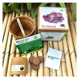 Sow and Grow DIY Gardening Kit - Red Amaranth-image-34