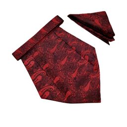 Paisley Design Cravats & Pocket Square Combo-image-61