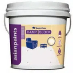 Asian Paints 5 Kg White Smartcare Damp Block, 1051-image-88