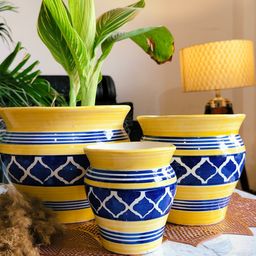 Niyara Stylish Ceramic Pots Planters for Indoor Plants - Moroccan Blue Yellow-image-25