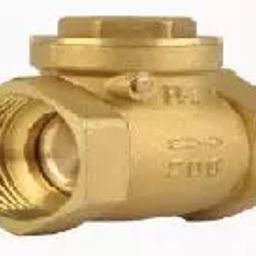 Raj Valves 2 Inch,50 mm Forged Brass Swing Check Valve-picture-26