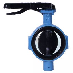 Leader 2-1/2 Inch, 65 mm Cast Iron Butterfly Valve CI 061B-image-63