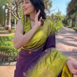 ZILVIRA Ethnic Motifs Woven Design Banarasi Saree-picture-31