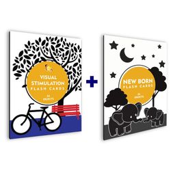The Curious Bees - New Born and Visual Stimulation Flash Cards Combo Pack - 48 High Contrast Objects in 24 Cards-16