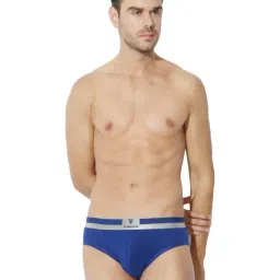 Van Heusen Blue Cotton Briefs-picture-22
