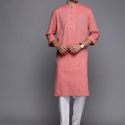 Fabindia Men Chikankari Embroidered Pure Cotton Comfort Fit Straight Kurta-30