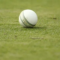 hackerx HackerXPebbled Leather Ball Cricket image 2