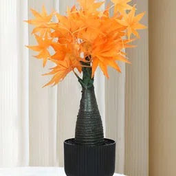 TIED RIBBONS Orange 1 Pieces Maple Artificial Plant With Pot-picture-7