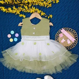 ZG GARMENTS Floral Georgette Fit & Flare Dress-picture-23