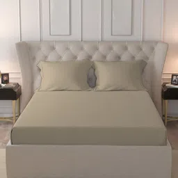 PIZUNA LINENS Brown 400 TC Pure Cotton Queen Fitted Bedsheet Set 1.60m x 1.98m x 30cm-42