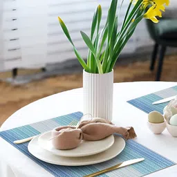 YELONA Blue & Green 8 Pieces Striped Rectangular Table Placemats-52