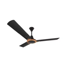 RR Signature JAIPUR AMER Ceiling Fan Charcoal Black 1200 mm Sweep 350 RPM-image-75