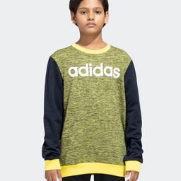 Adidas Kids Cotton Full Sleeves Sports Sweatshirt Logo Print- Yellow & Blue-image-69