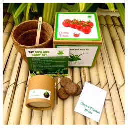 sow & grow Sow and Grow DIY Gardening Kit - Cherry Tomato-picture-49