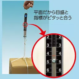 Shinwa Rules Portable Hanging Scale with Flat Scale Plate 8 Kg Weighing Capacity, 74493 image 2