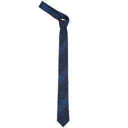 Alvaro Castagnino Black Printed Tie-picture-21