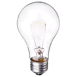Sibass Electric Spare Bulb for Warning Revolving Light, SE-LTE-1101 (Pack of 10)-picture-7