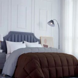Razzai Brown Poly fill Basic Comforters image 2