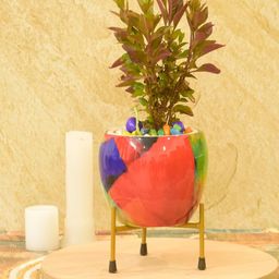Sone Key Chidiya Handmade Pitalnagi Meenakari Pots N Planter-image-50