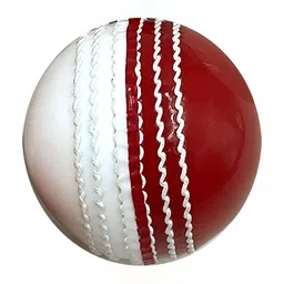 HackerX Leather Cricket Ball-15