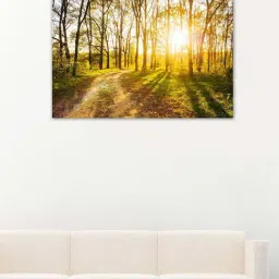 999store Green & Brown Pathway On Sunny Canvas Painting-14