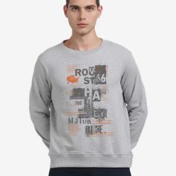 BLACK RADIO Grey Regular Fit Round Neck Printed Sweatshirt-image-3