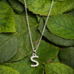 Accessorize London Women's 925 Sterling Silver Super Sparkle Initial Pendant Necklace-image-68