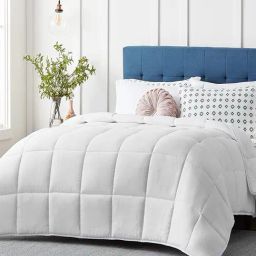 Razzai White Poly fill Basic Comforters-picture-18