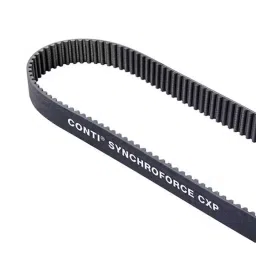 Contitech Timing Belt 200 Teeth 1600 mm Length 20 mm Width, 1600 8M 20 CXP-picture-30