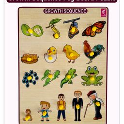 Wissen Growth Sequence Peg Board Puzzle Game- 23 cm-25