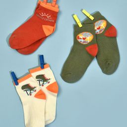 Mi Arcus Pack Of 3 Dinosaur Printed Socks - Multi Colour-image-0
