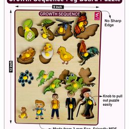 Wissen Growth Sequence Peg Board Puzzle Game- 23 cm image 3