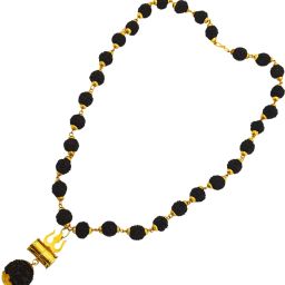 Bhagwan Mahadev 5 Mukhi Rudraksha 5 Mukhi Rudraksha Mala, Boy's,Unisex,Unisex Gold-plated Beads Brass, Wood Pendant Set-image-32