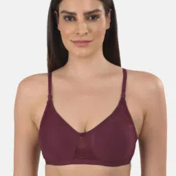 mod & shy Multicolor Non Padded Bra (Pack of  2) image 2