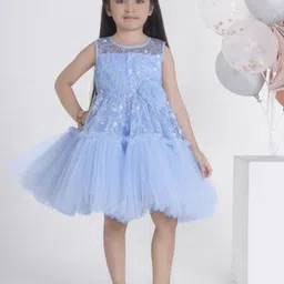 Ministitch Applique Net Fit & Flare Dress-picture-42