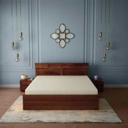 Godrej Interio Reborn White Latex Foam Double Bed Mattress-image-56