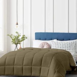 Razzai Beige Poly fill Basic Comforters-image-39